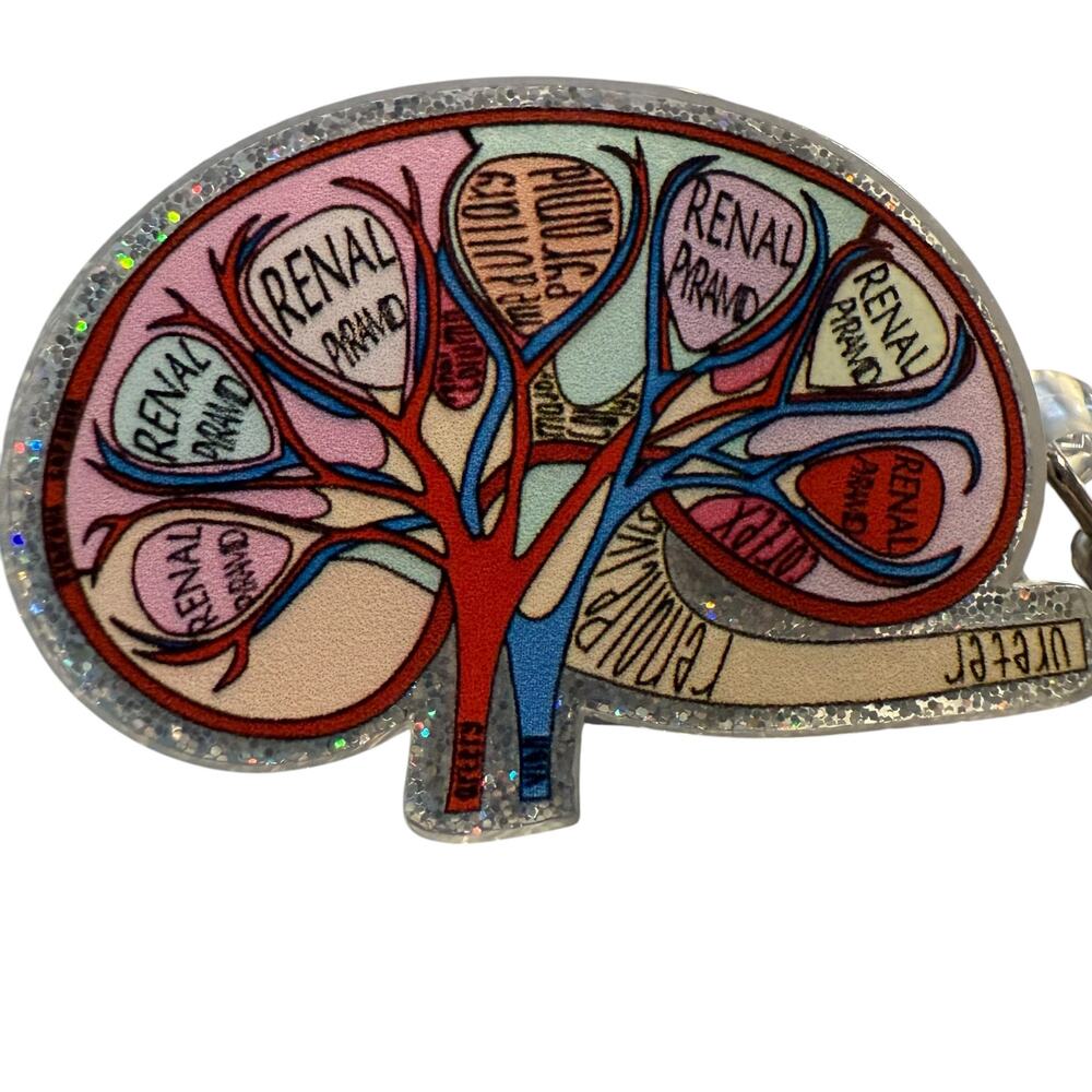 Anatomical Kidney Retractable ID Badge Reel, Endocrine, Nephrology, Renal NWT